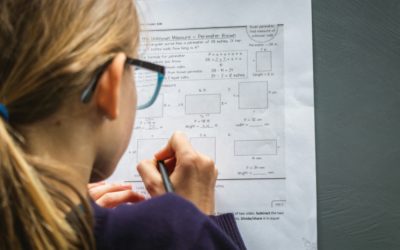 The Connection Between Literacy and Numeracy: Why Reading Skills Matter in Math